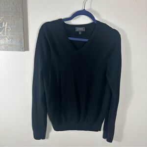 Express Black V-Neck Sweater Extra Fine Merino Wool